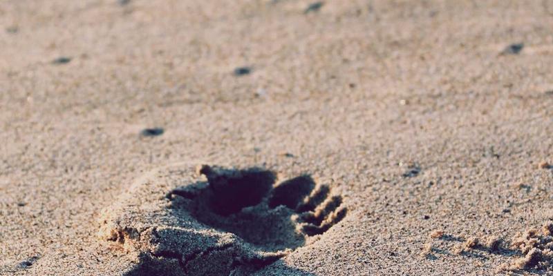 流程再造:中小企业的效率革命——从“人治”到“法治”的转型之路